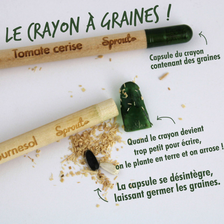 Crayon Sprout à graines